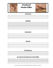 Hundertfüßer-Tiersteckbriefvorlage.pdf